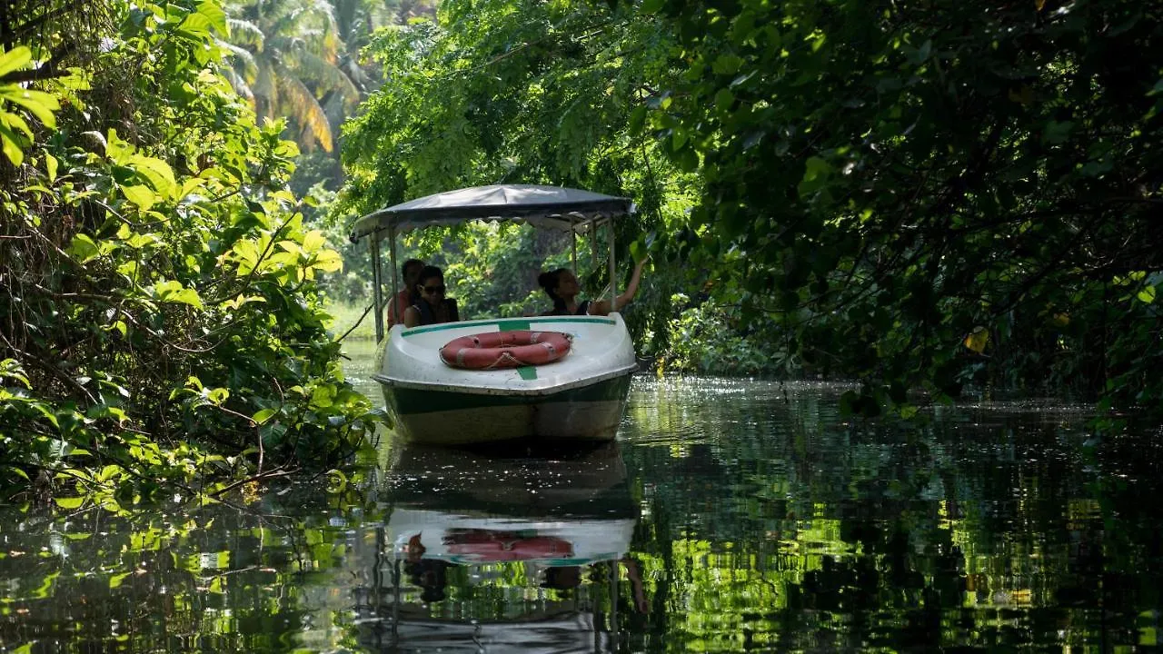 טריואנדרום Leela Backwater Inn